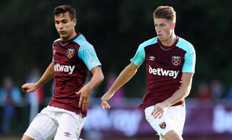 他们将目光 他们将目光